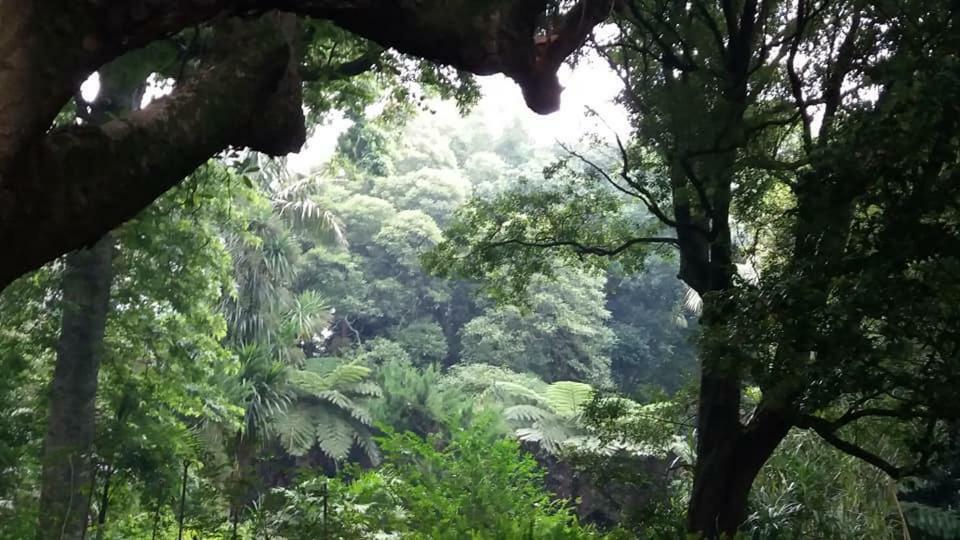 Casa Das Lapinhas Lagoa  Esterno foto